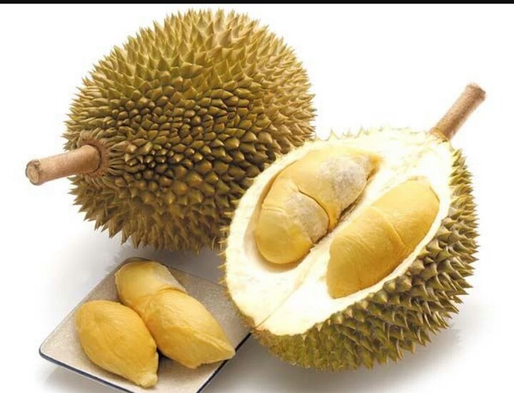 12 Khasiat Kulit Durian – Infor Dakwah